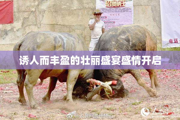诱人而丰盈的壮丽盛宴盛情开启