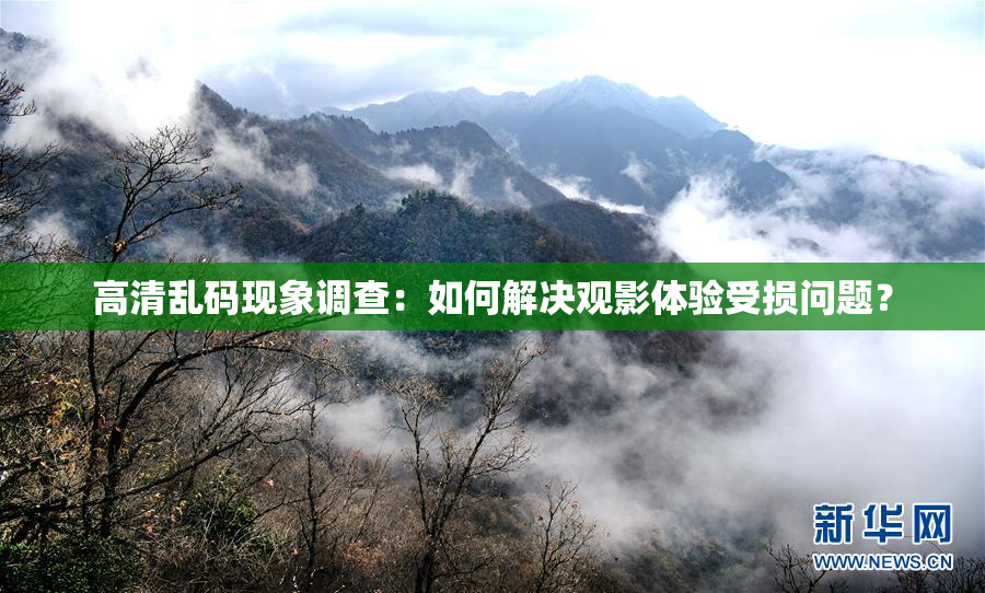 高清乱码现象调查：如何解决观影体验受损问题？
