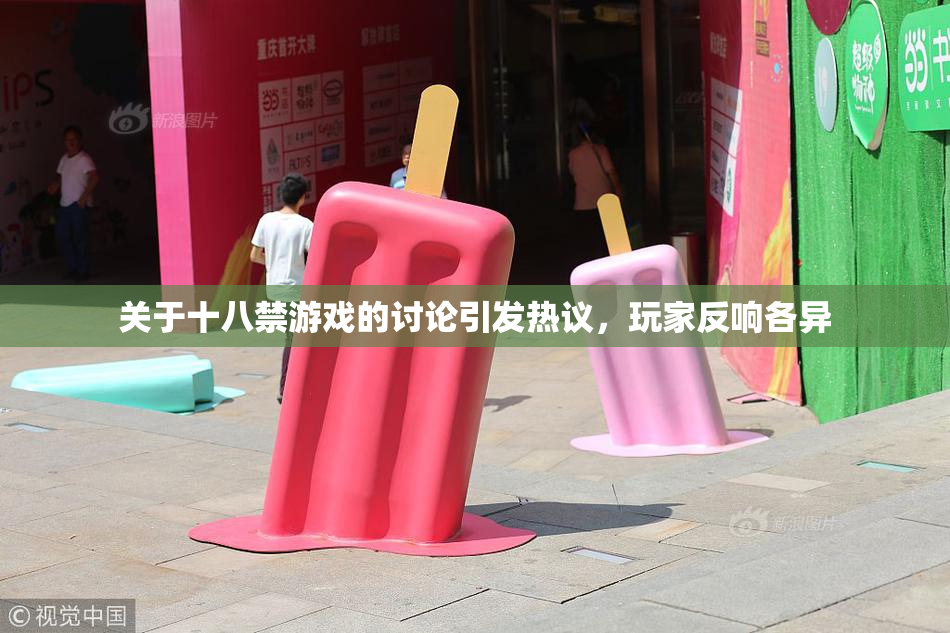 关于十八禁游戏的讨论引发热议，玩家反响各异