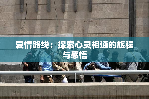 爱情路线：探索心灵相通的旅程与感悟