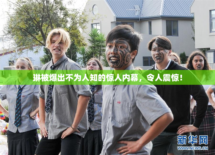 琳被爆出不为人知的惊人内幕，令人震惊！