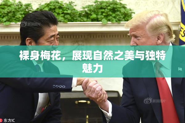 裸身梅花，展现自然之美与独特魅力