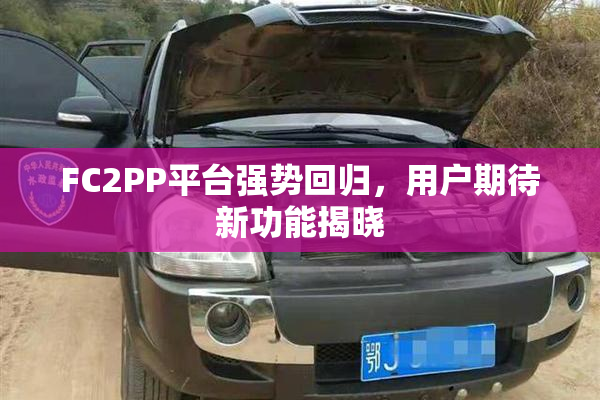 FC2PP平台强势回归，用户期待新功能揭晓