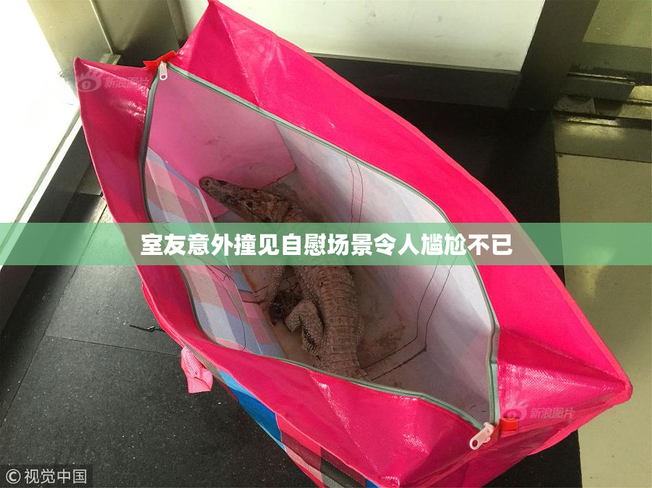 室友意外撞见自慰场景令人尴尬不已