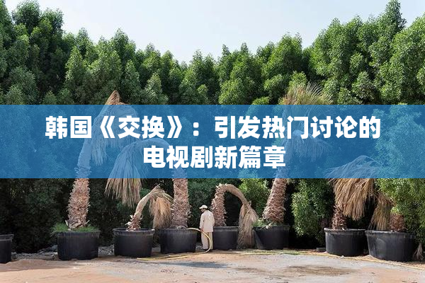 韩国《交换》：引发热门讨论的电视剧新篇章