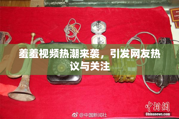 羞羞视频热潮来袭，引发网友热议与关注