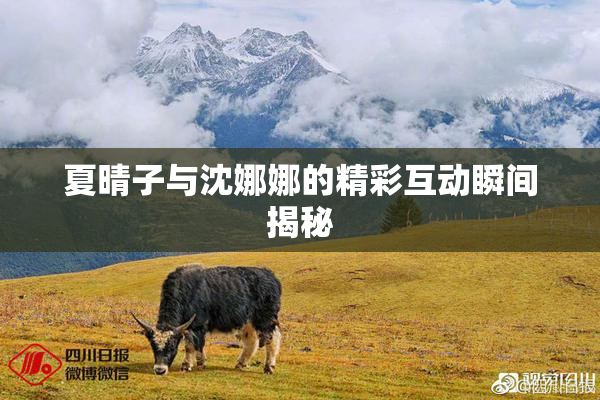 夏晴子与沈娜娜的精彩互动瞬间揭秘