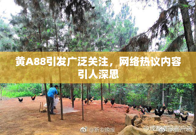 黄A88引发广泛关注，网络热议内容引人深思