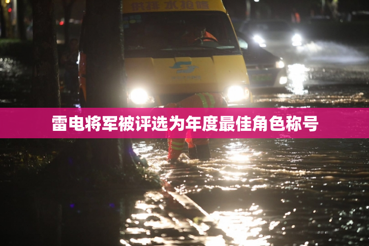 雷电将军被评选为年度最佳角色称号