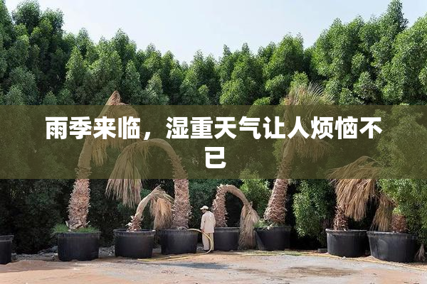 雨季来临，湿重天气让人烦恼不已