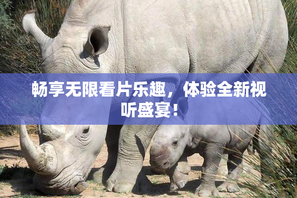 畅享无限看片乐趣，体验全新视听盛宴！