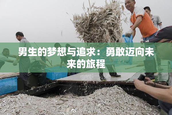 男生的梦想与追求：勇敢迈向未来的旅程