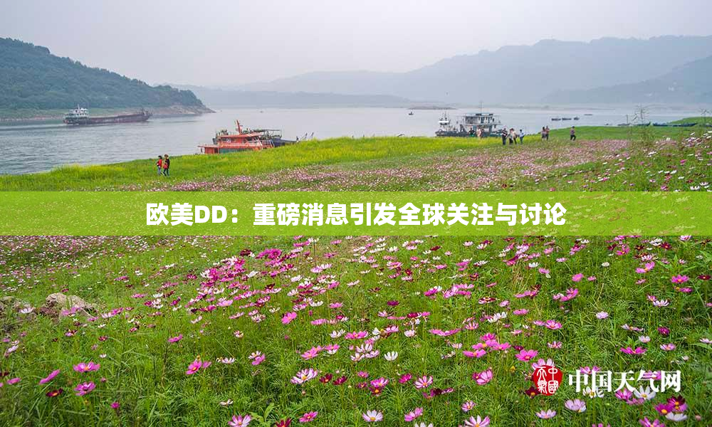 欧美DD：重磅消息引发全球关注与讨论