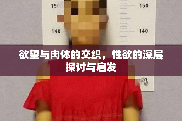 欲望与肉体的交织，性欲的深层探讨与启发