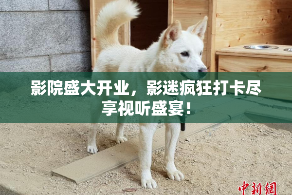 影院盛大开业，影迷疯狂打卡尽享视听盛宴！