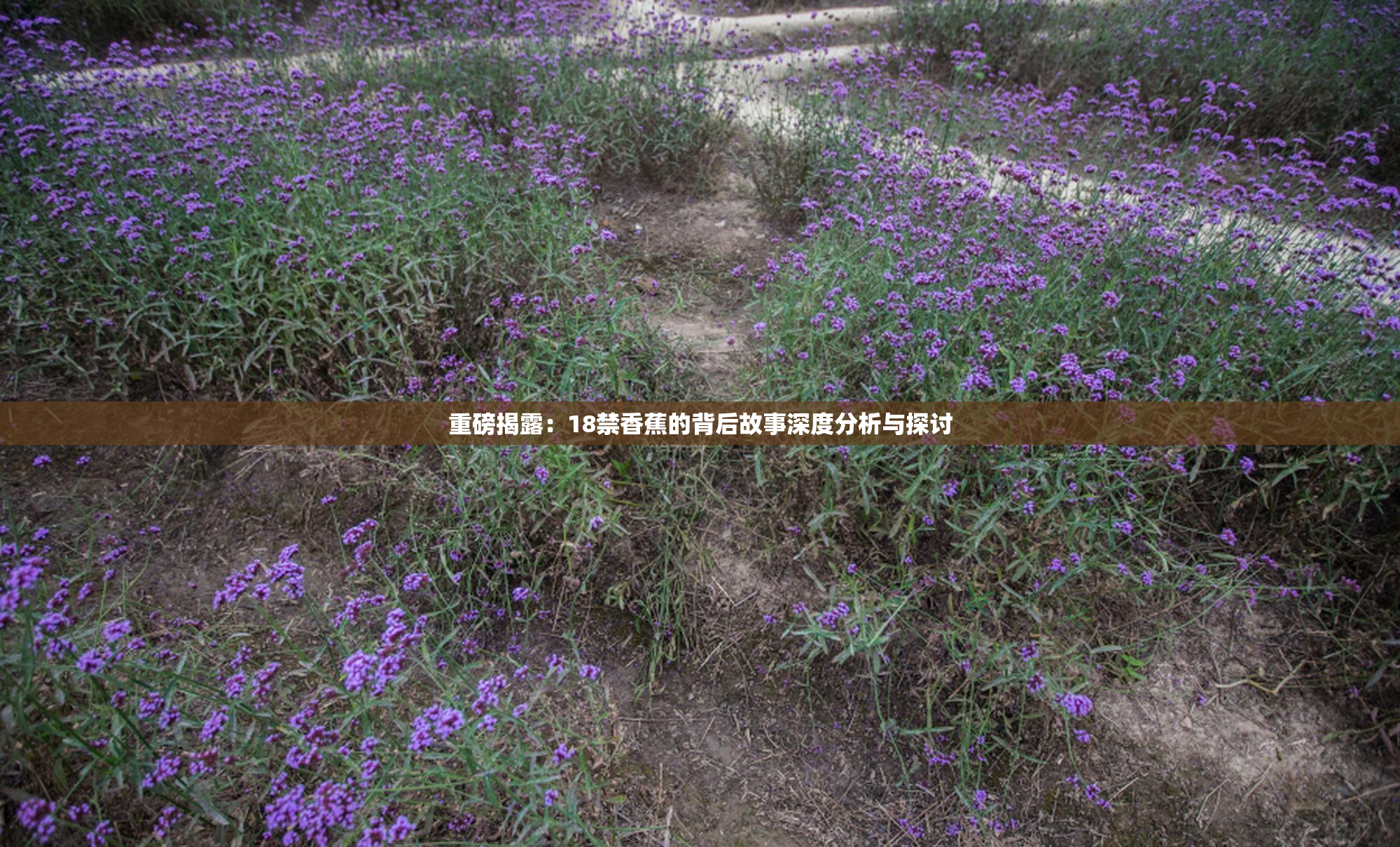 重磅揭露：18禁香蕉的背后故事深度分析与探讨