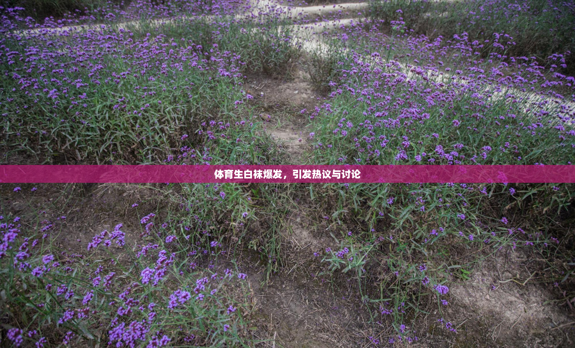 体育生白袜爆发，引发热议与讨论