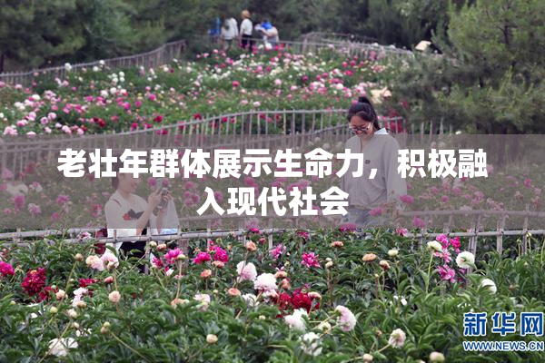 老壮年群体展示生命力，积极融入现代社会