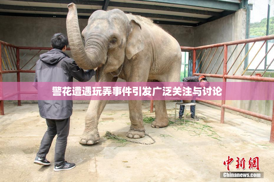 警花遭遇玩弄事件引发广泛关注与讨论