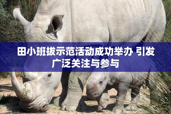 田小班拔示范活动成功举办 引发广泛关注与参与