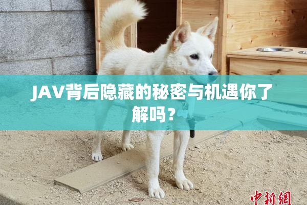 JAV背后隐藏的秘密与机遇你了解吗？