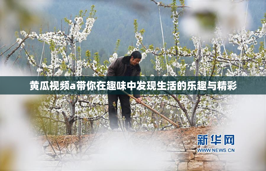 黄瓜视频a带你在趣味中发现生活的乐趣与精彩