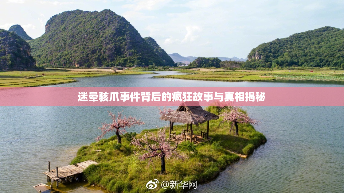 迷晕骇爪事件背后的疯狂故事与真相揭秘