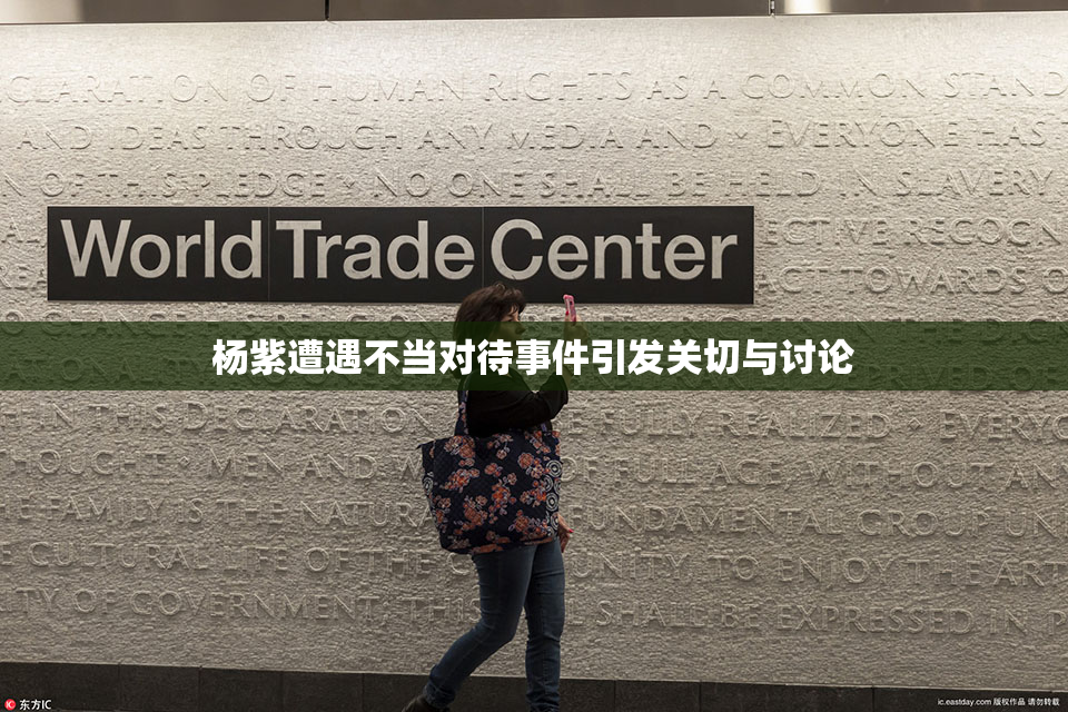 杨紫遭遇不当对待事件引发关切与讨论