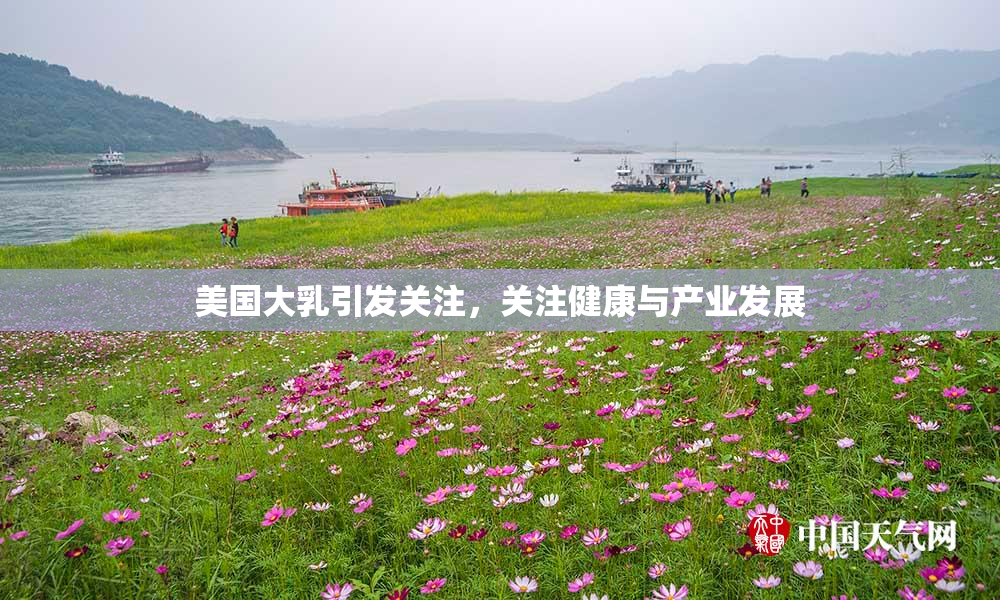 美国大乳引发关注，关注健康与产业发展