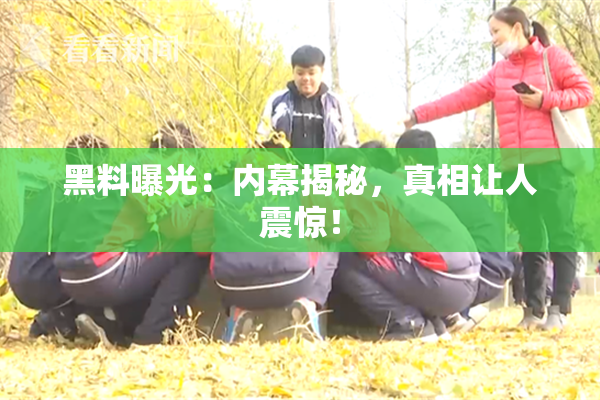 黑料曝光：内幕揭秘，真相让人震惊！