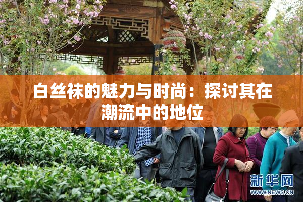 白丝袜的魅力与时尚：探讨其在潮流中的地位