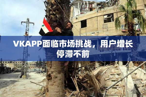 VKAPP面临市场挑战，用户增长停滞不前