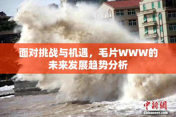 面对挑战与机遇，毛片WWW的未来发展趋势分析