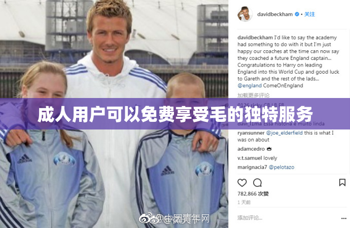 成人用户可以免费享受毛的独特服务