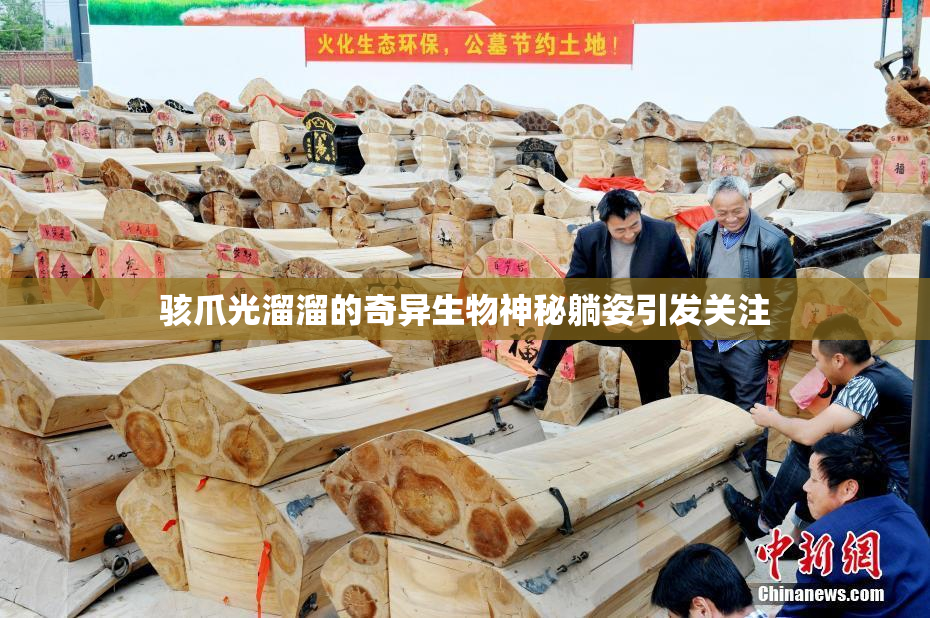 骇爪光溜溜的奇异生物神秘躺姿引发关注