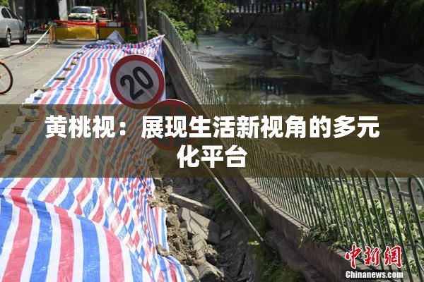 黄桃视：展现生活新视角的多元化平台