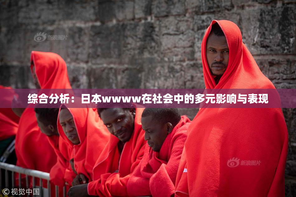综合分析：日本wwww在社会中的多元影响与表现