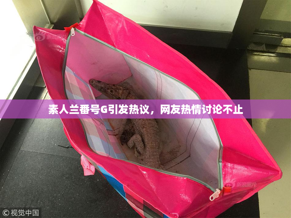 素人兰番号G引发热议，网友热情讨论不止