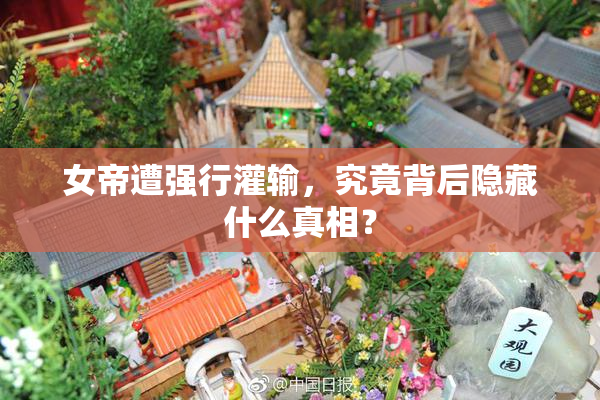 女帝遭强行灌输，究竟背后隐藏什么真相？