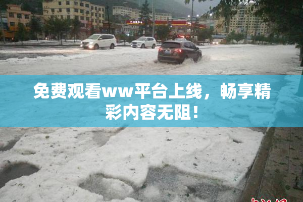 免费观看ww平台上线，畅享精彩内容无阻！