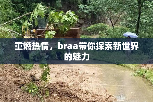 重燃热情，braa带你探索新世界的魅力