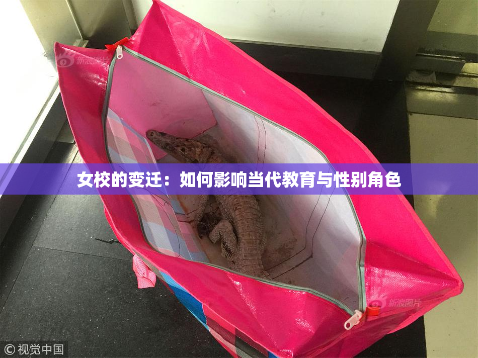 女校的变迁：如何影响当代教育与性别角色