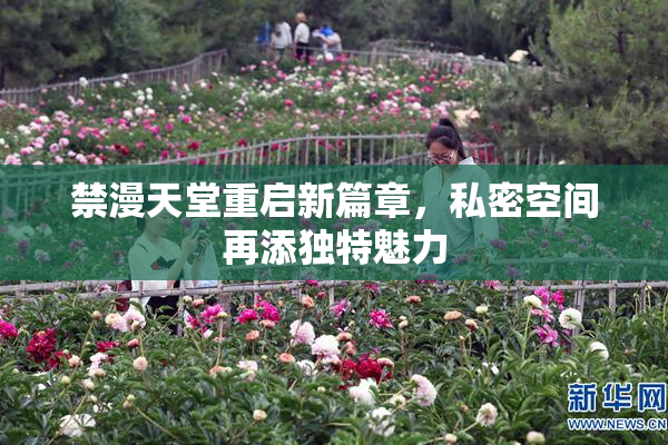 禁漫天堂重启新篇章，私密空间再添独特魅力