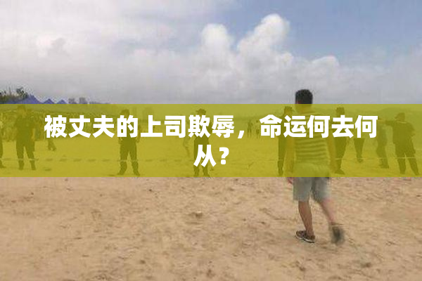 被丈夫的上司欺辱，命运何去何从？