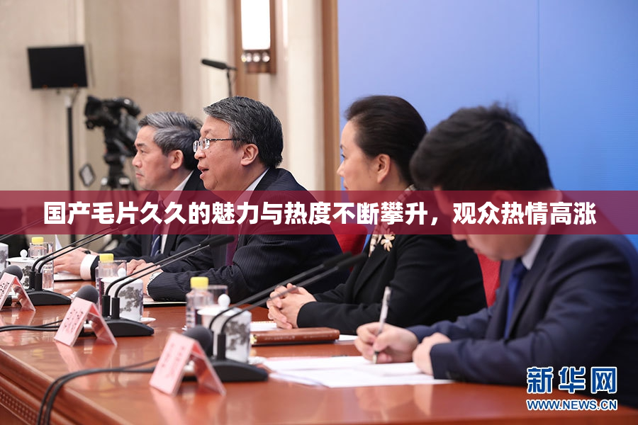国产毛片久久的魅力与热度不断攀升，观众热情高涨