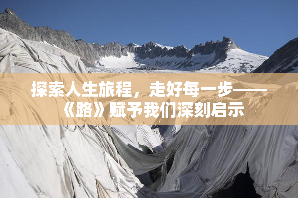 探索人生旅程，走好每一步——《路》赋予我们深刻启示