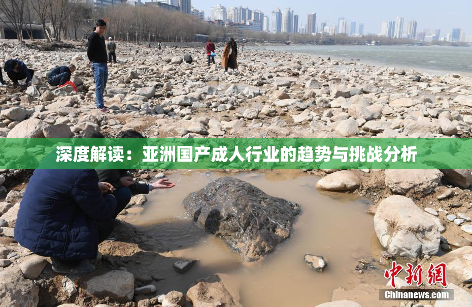 深度解读：亚洲国产成人行业的趋势与挑战分析