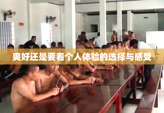 爽好还是要看个人体验的选择与感受