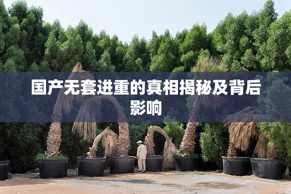 国产无套进重的真相揭秘及背后影响