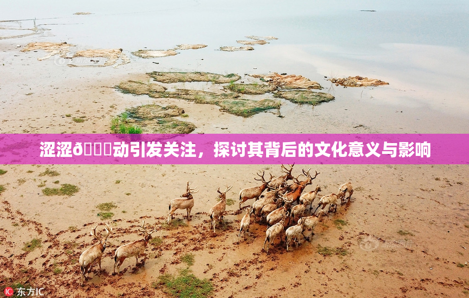 涩涩🔞动引发关注，探讨其背后的文化意义与影响